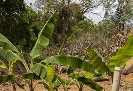 Fossa ecológica surge como alternativa na defesa do meio ambiente