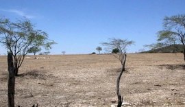 Ouro Branco tem situação de emergência reconhecida devido à estiagem