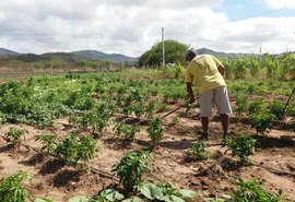 Secretaria de Agricultura informa sobre prorrogação do prazo para inscrição no Garantia-Safra 2024/2025