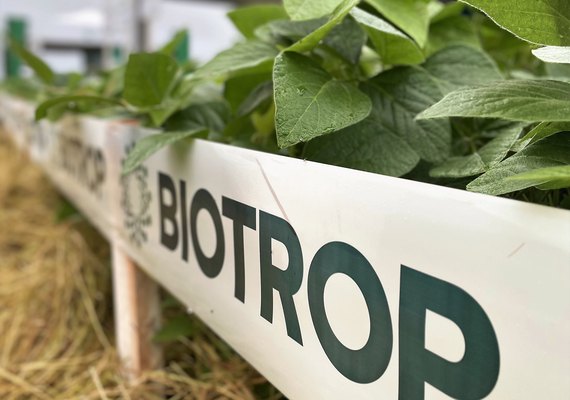 Biotrop leva tecnologias biológicas inovadoras para soja e milho ao Show Rural Coopavel