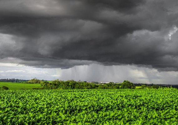 Clima de outono preocupa safra com calor e chuva irregular