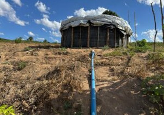 Senar Alagoas implanta irrigação de baixo custo no campo