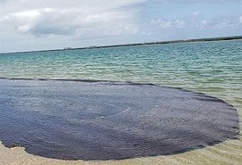 Chega a 1.500 toneladas o total de óleo recolhido em praias e rios de PE