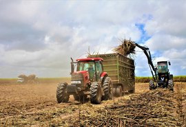 Usina Pindorama supera dificuldades climáticas e encerra safra com recorde de moagem