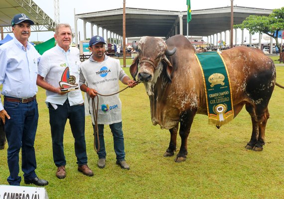 72ª Expoagro Alagoas dá pontapé ao Ranking Nordeste do Gir Leiteiro