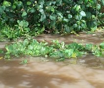 Corpo de pescador é encontrado boiando na Lagoa Mundaú