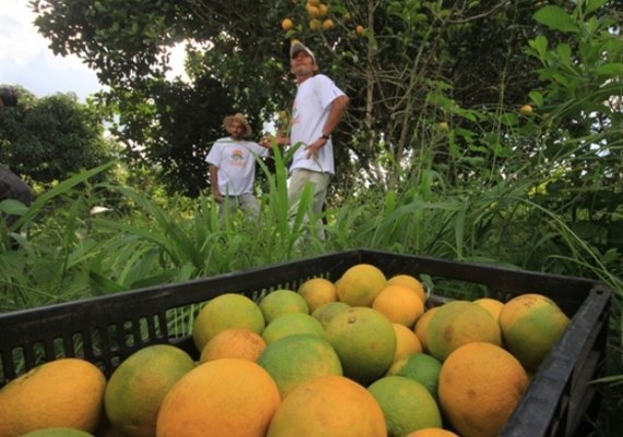 Cooperativa alagoana vai inaugurar fábricas e diversificar produção na Zona da Mata