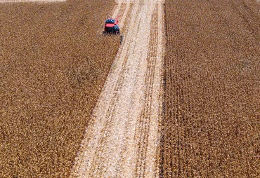 Desembolsos de crédito rural têm queda de 25% no primeiro mês do Plano Safra 25/26