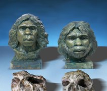 Estudo revela a presença de habitantes na China 600 mil anos antes do estimado