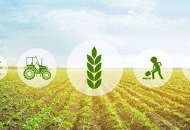 PIB do agronegócio cresceu 0,36% em abril