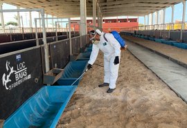 Expoagro: Parque da Pecuária começa a receber animais nesta segunda-feira (21)