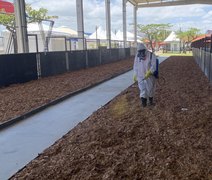 Adeal supervisiona desinfecção do Parque da Pecuária