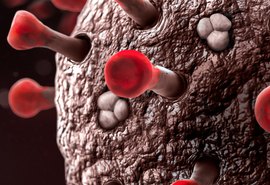Boletim Epidemiológico registra duas mortes por Covid-19 neste sábado (13)
