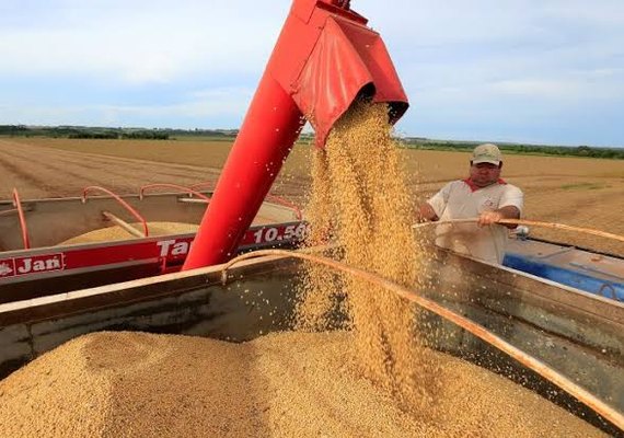 Ministro da Agricultura diz que Plano Safra deve ultrapassar os R$ 400 bilhões