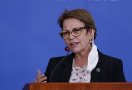 Ministra da Agricultura diz que preço do arroz pode reduzir com nova safra