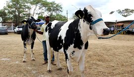 Expo Bacia: Expectativa é participação de 500 animais