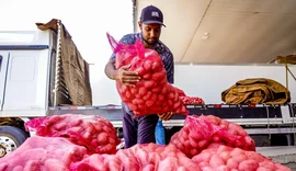 Conab aponta queda de preço da batata e alta da cebola e tomate