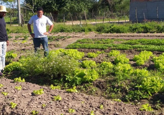 Assistência técnica garante diversificação de culturas aos produtores do Canal do Sertão