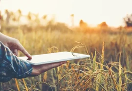 Cerca de 2,5 mil propriedades rurais beneficiadas pelo PSR passará por fiscalização