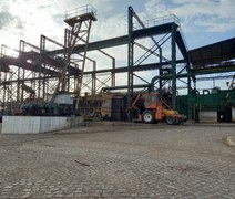 Cooperativa no Vale do Satuba bate recorde de produção na safra de cana-de-açúcar