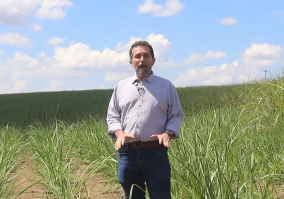 Alagoas Rural: Vídeo sobre cana sem irrigação viraliza e alcança 24 mil views