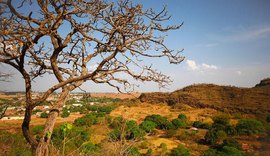 Cerrado: destinos que revelam a riqueza do bioma que é berço das águas