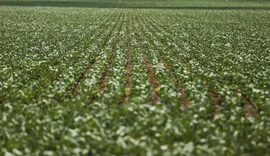 Reunião entre governo e bancada do agro termina sem acordo sobre dívidas rurais