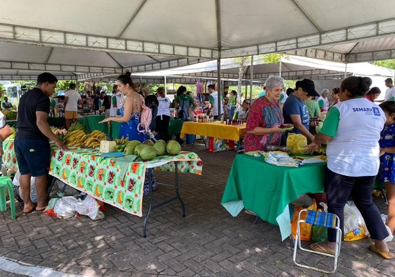 Feira Sustentável retorna neste domingo com produtos da agricultura familiar