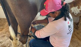 Circuito Leiteiro: Expobacia tem pela primeira vez participação de mulher em torneio leiteiro