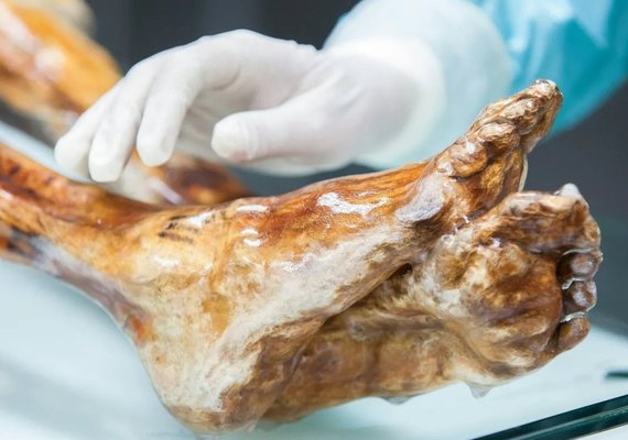 Micróbios de múmia de 5.300 anos podem ainda estar vivos