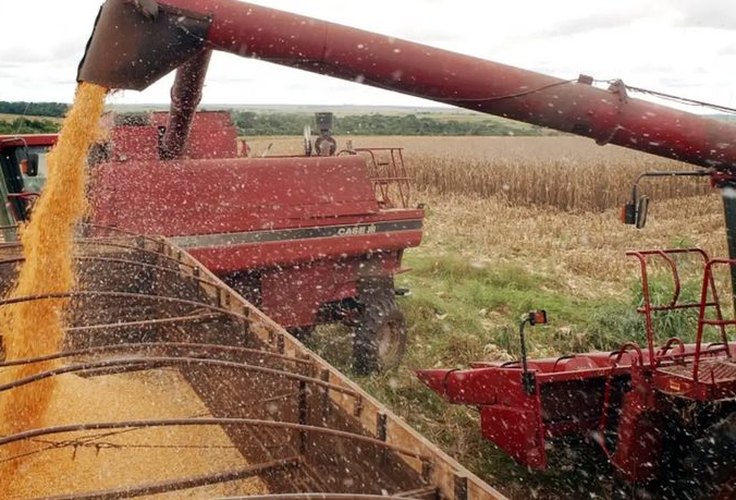 Safra de grãos 2025/2026 deve atingir volume recorde de 356,3 mi de toneladas