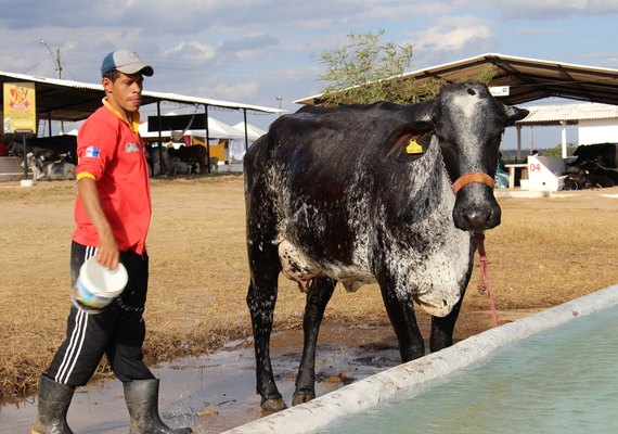 Exposição levou 30 mil pessoas ao Parque Mair Amaral