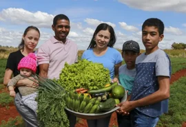 Agricultura familiar ganha força com o cooperativismo