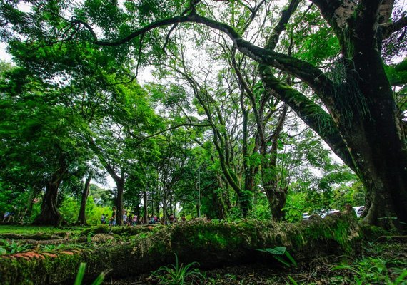Parque do Horto recebe ações voltadas à mulher neste sábado (21)