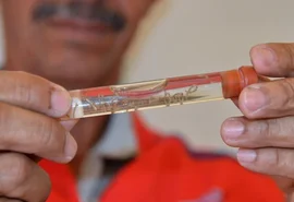 Verão chega e Sesau reforça cuidados contra dengue em Alagoas