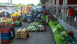 Alagoas importa 6,5 vezes mais frutas e hortaliças do que produz