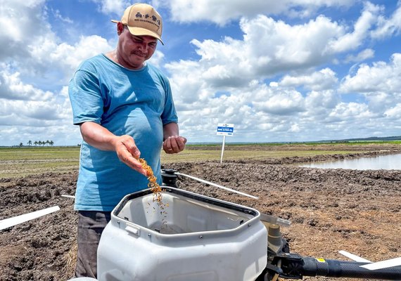Ações continuadas do Governo de AL preparam região para fortalecer cadeia produtiva da rizicultura