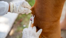 Segundo dia de vacinação antirrábica acontece neste sábado (25) em Maceió