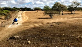Seca atinge 75 municípios de Alagoas e provoca impactos na agricultura familiar