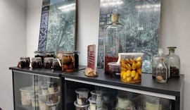 Maceió conta com acervo que reúne mais de 76 mil amostras de plantas da flora alagoana