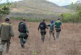 Operações resgatam mais de 800 animais silvestres em Alagoas