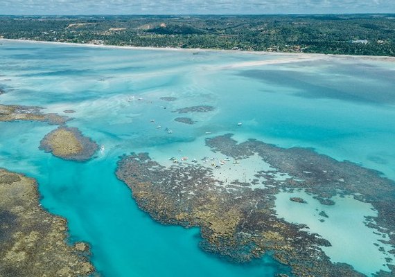 Destino Maragogi ocupa 7 posições no prêmio Best of The Best do TripAdvisor