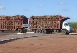 Rodovias de acesso a Pindorama serão recuperadas