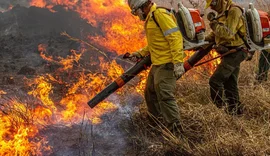 Governo repassa R$ 337 milhões para combate a incêndios e desmatamento