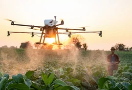 5 previsões para alimentos e tecnologias agro em 2024