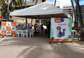 17 animais estarão disponíveis na Feira de Adoção deste domingo (06)