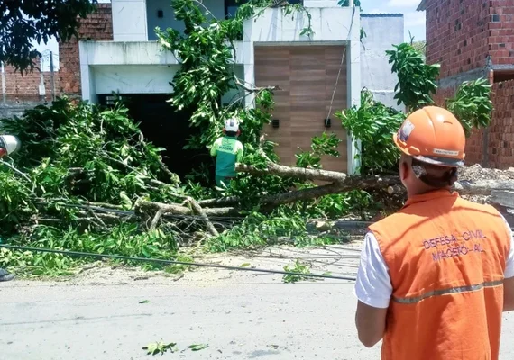 Defesa Civil registra três ocorrências após ventos fortes em Maceió