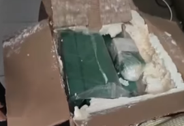 Homem é preso ao receber encomenda com mais de 4 kg de maconha em Alagoas
