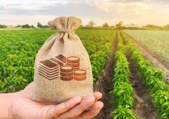 Balança comercial do agro registra recorde