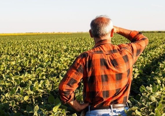 Julgamentos do Proagro ficam mais ágeis